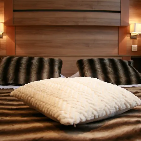 酒店 瓦雷布兰驰酒店 霞慕尼