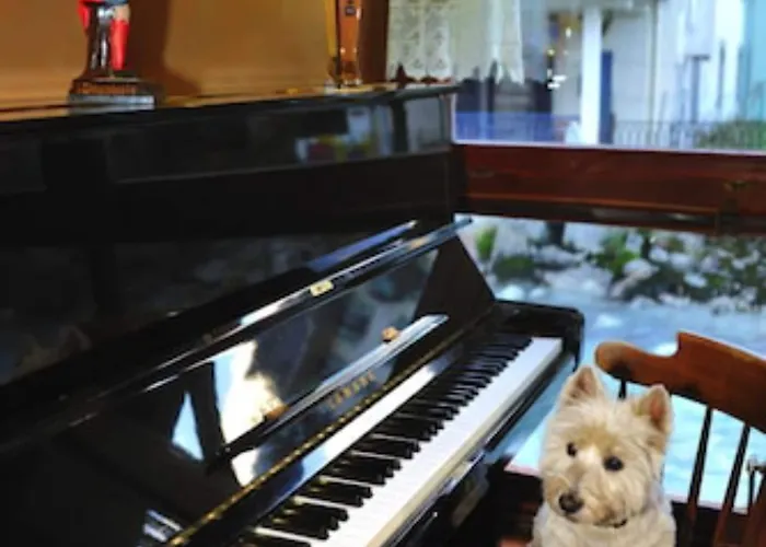 瓦雷布兰驰酒店 霞慕尼