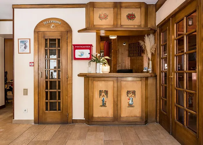 酒店 瓦雷布兰驰酒店 霞慕尼