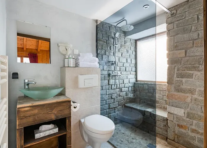 מלון Vallee Blanche