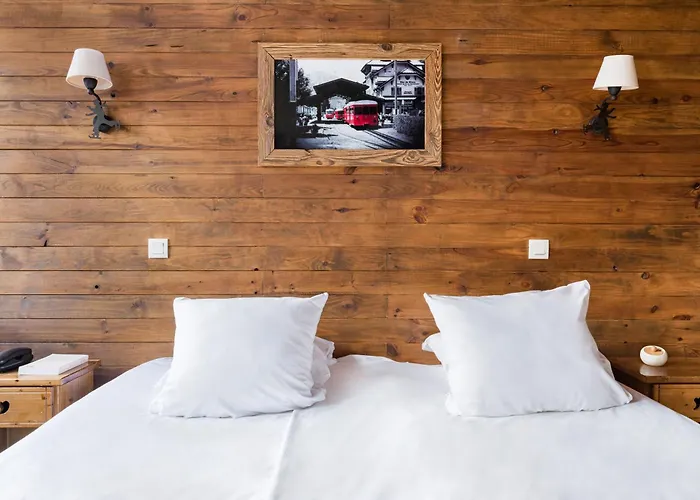 Hotel Vallée Blanche 3*