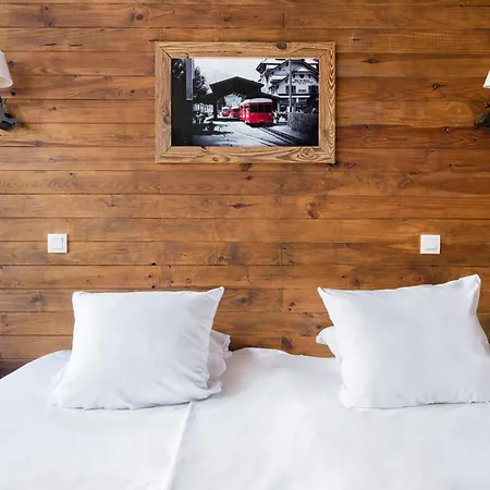 Hotel Vallee Blanche 3*